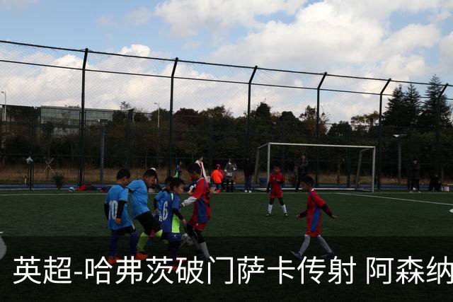 英超-哈弗茨破门萨卡传射 阿森纳2-0狼队